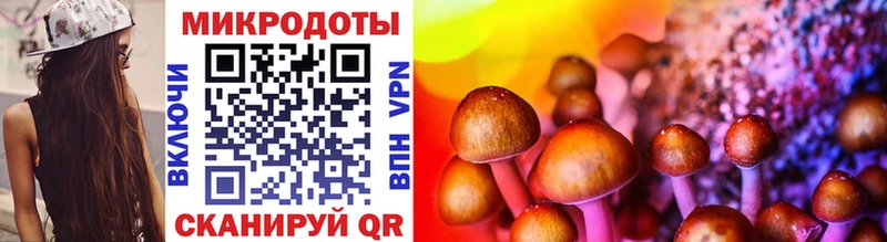 MEGA ссылки  хочу   Мурино  Галлюциногенные грибы Cubensis 
