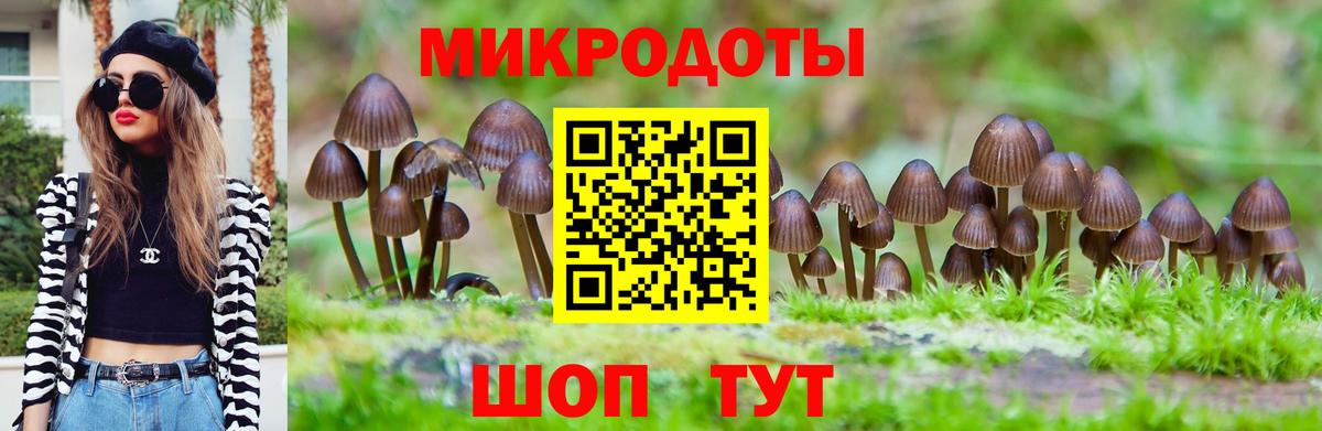Псилоцибиновые грибы ЛСД  Псилоцибиновые грибы Magic Shrooms  Вход с VPN  Мурино 